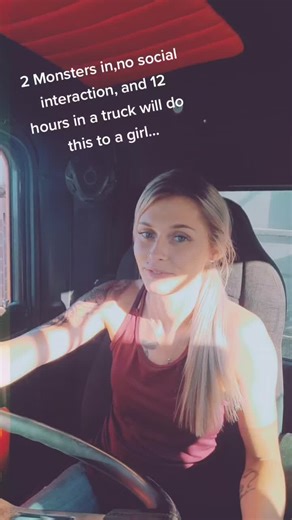 Shenanigans.... #IKnowWhatYouDid #fyp #trucking #truckher #sidewinding #cowchowexpress