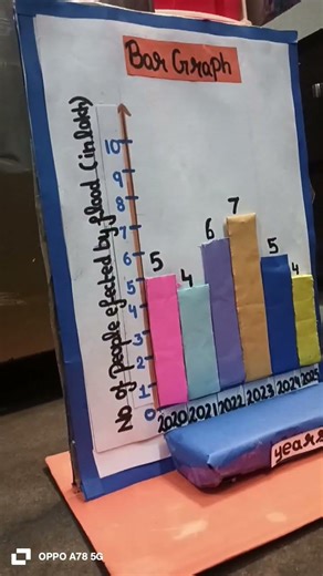 a unique math project of data handling bar graph
