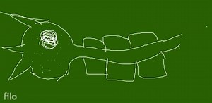 The characteristic feature of muscle fibres that are present in... | Filo