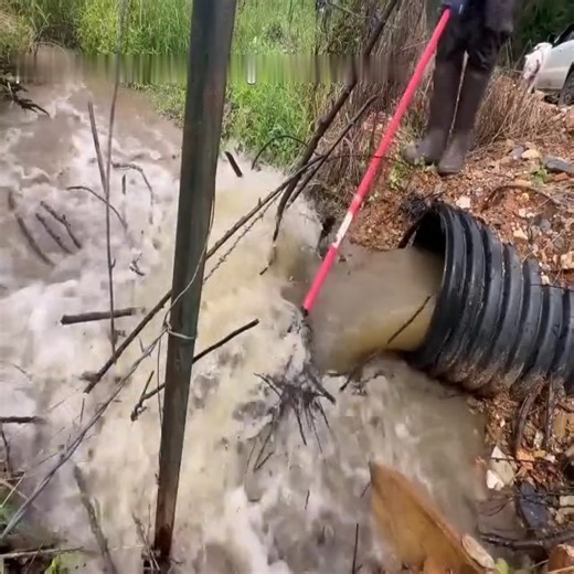 95K views · 612 reactions | UNCLOGGING BEAVER CLOGGED CULVERT | Clearing blockages | Facebook