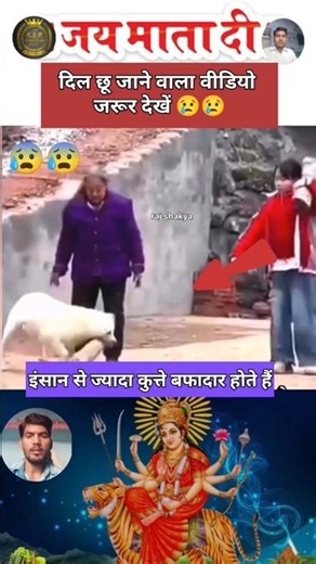 तेरे दर पे सर झुकाया !! माँ शेरावाली !! Viral short 🌷🙏😥#durgamaa #sherawali #viralvideo #ytshorts