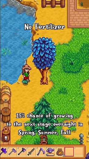 Mystic Seeds, Trees, & Syrup in Stardew Valley Part 2: Fertilizer & Growth