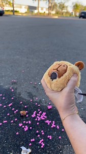 CUT ✂️ | Fidget Toys Plus