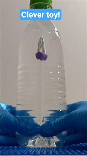 Simple and clever! #shorts #cartesiandiver #toys #clever #science