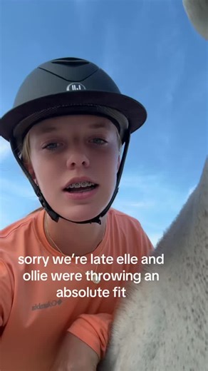 Experiencing Equestrian Adventures at One Love Farm