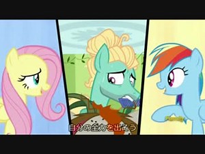 S6E11 Flutter Brutter