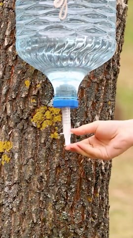 Incredible Cleaning Hacks for Perfect, Satisfying Results