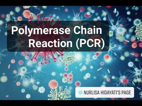 POLYMERASE CHAIN REACTION; REACTION INGREDIENTS; PCR PROCESS; STRATEGY FOR PCR; APPLICATION OF PCR;
