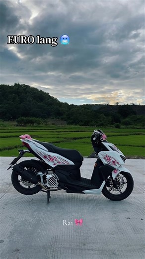 Euro Modification Techniques for Samurai 155