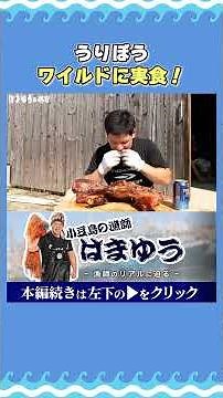 Wild Boar Piglet! Time to Dig In!