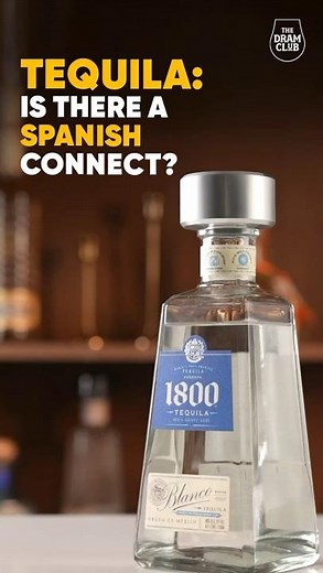 What is Tequila ? How is Tequila Made ? Discover the history & origins of Tequila !