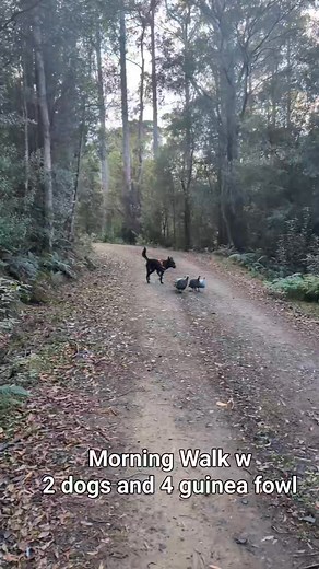 Vortex Healing Centre Inc on Reels