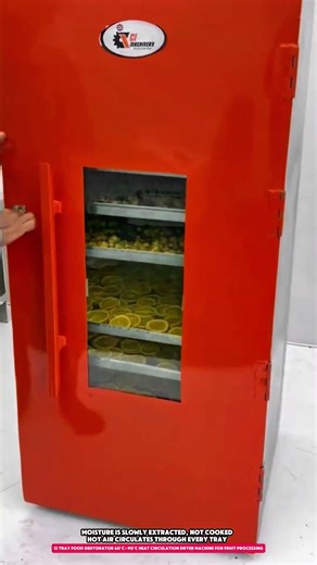 12 Tray Food Dehydrator 60°C–90°C Heat Circulation Dryer Machine for Fruit Processing