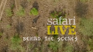 11K views · 423 reactions | "In just a couple hours, after weeks and...