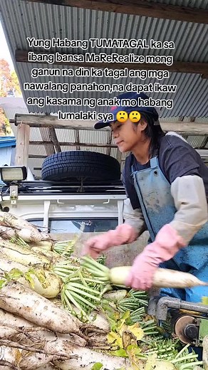 #trending #fypシ゚viral #viral #labanosqueen👑 #farmer #japan