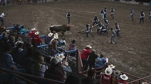 Video. Lifers in the notorious US prison "Angola" stage annual rodeo