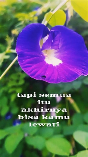 jangan kau gelisah sebelum menjalani #satuklikuntukwujudkanimpianmu