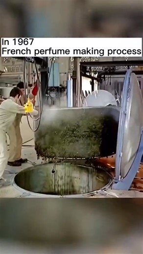 In 1967. French perfume making process history #vintage #fyp #history | Last Thing | Facebook