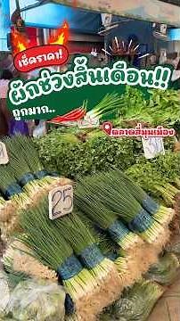 ✨เช็คราคาผัก! ช่วงสิ้นเดือนราคาถูกมาก ขายส่ง24 ชั่วโมง #ตลาดขายส่ง