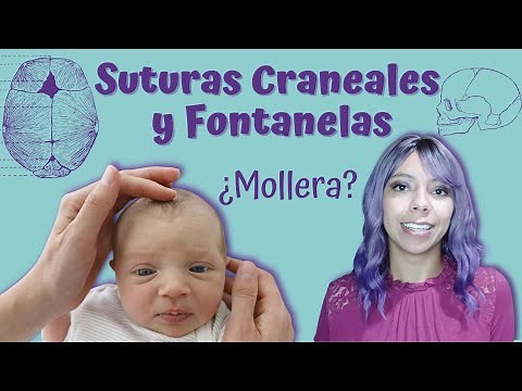 ¿Qué son las suturas craneales y las fontanelas o Mollera? | ¿Un bebé respira por la "Mollera"?)