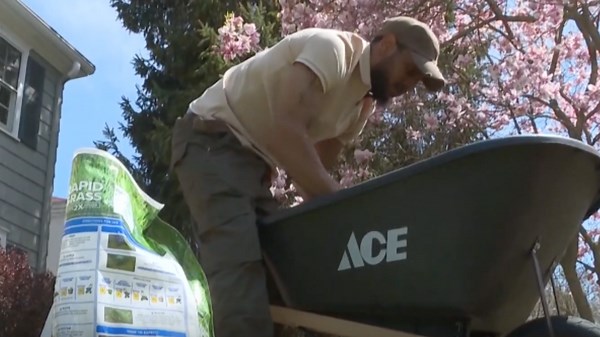 Spring yardwork: DIY or call in the pros?