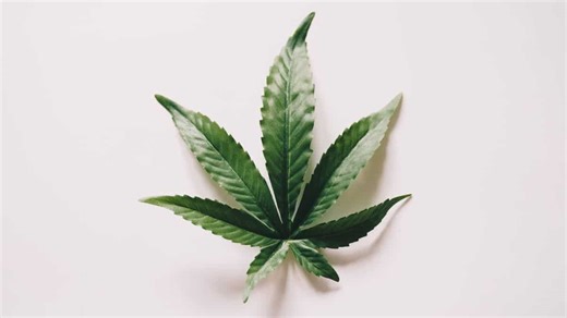 9 health problems cannabis medicine can help alleviate