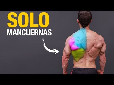 Dumbbell Back Workout: Hypertrophy, Strength, Power, Back Health Exercises!