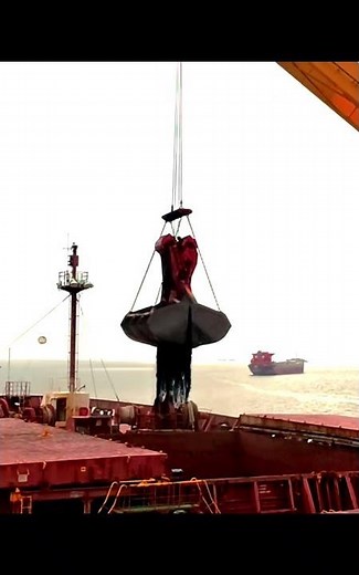 Transshipment Crane Loading Bulker's Hold