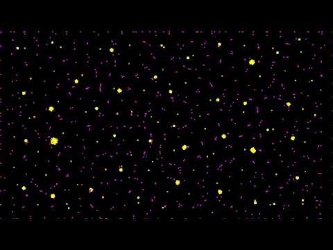 Particle Life Simulation - %s [1 Hour]