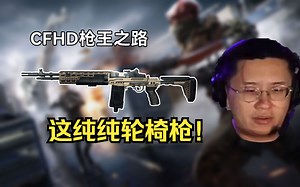 玩神浅尝M14EBR并作出重要指示：这枪太轮椅了【玩机器直播精华192】