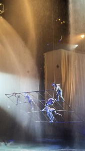you’ve never seen anything like this 🦓 | "O" by Cirque du Soleil