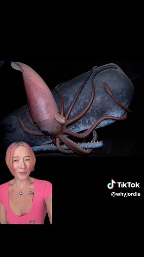 Terrifying Whale & Squid Diorama in NYC (No Glass!)