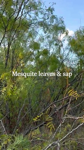 126K views · 7.6K reactions | Historical non-food uses of honey...