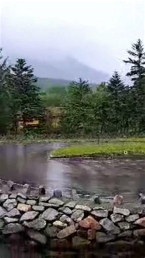 Port City Tour 🏙️Exploring a new city through the eyes of a sailor#PortLife #CruiseLife #Shorts