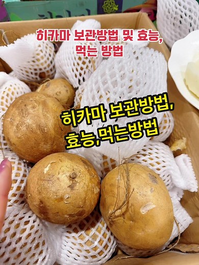 히카마의 맛과 효능: 먹는 방법 및 보관 팁