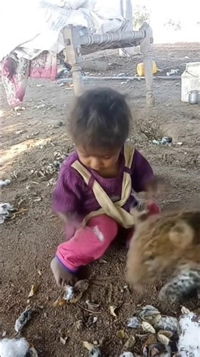 jiska dar vahi chauka Diya 😱 - #shorts #effect #filter #joker #memes #memebers #bloopers #newmemes