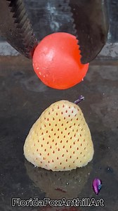 RHCB vs Pine berry 🍓 #science #satisfying #experiment #asmr #rhcb | Florida Foundry