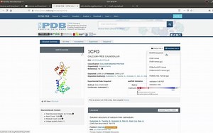 rosetta ab initio tutorial