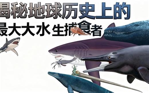 [中配]揭秘地球历史上的最大水生捕食者 - Vividen: Paleontology Evolved