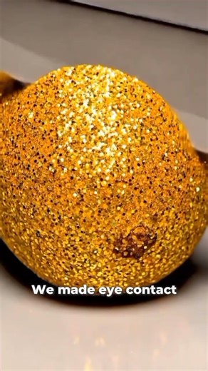 Would you trust your roommate with a microwave? 😭🍕