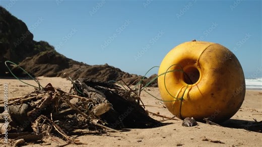 Close-up of a dead Hadeda Ibis bird tangled in nylon string attached to a yellow ocean buoy. Graphic depiction of marine debris and plastic pollution killing local coastal wildlife.