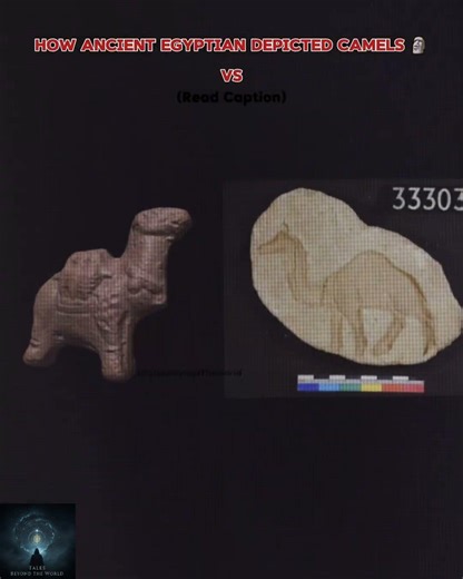 Ancient Egyptian Camels 🗿 vs Medieval Camels 🤡 | #Shorts #facts