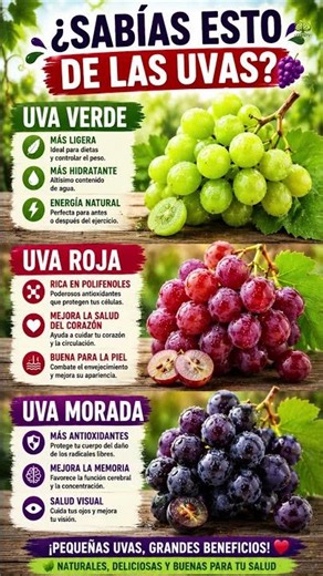 LOS SECRETOS DE LAS UVAS QUE CASI NADIE CONOCE