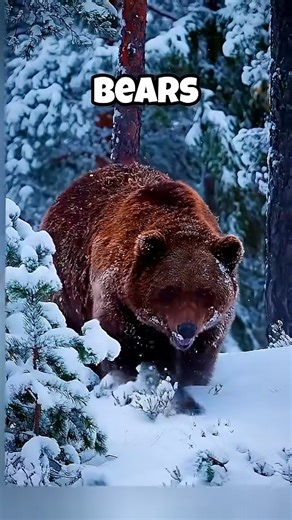 How this animals look without fur | Clips AI