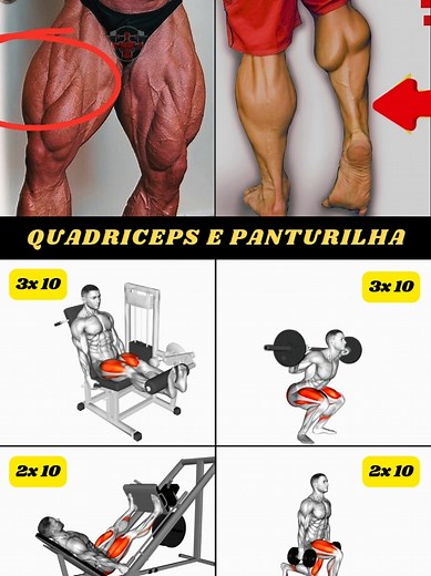 Treino de Quadríceps e Panturrilha Completo