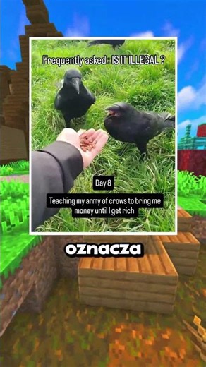 Nauczył wrony zbierać pieniądze 😱 *STAŁ SIĘ BOGATY*