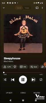 Blind Artist Ranking #88: Blind Melon #music #90s