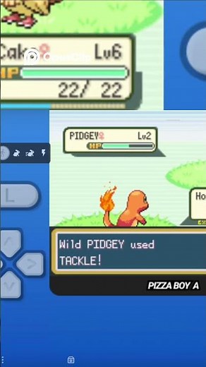 The Great Pokémon Showdown: Charmander vs. Pidgey