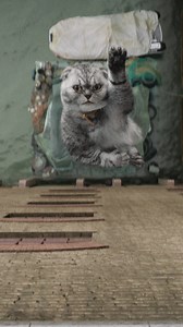 Movie Network on Reels