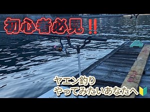 【和歌山筏釣り】初心者必見！ヤエン釣りでアオリイカ、ぎっさん始動★坂田渡船 #秋烏 #fishing #筏釣り #ヤエン釣りが好きなあなたへ #アオリイカ #釣りガール#筏釣り #衣奈漁港 #エギング